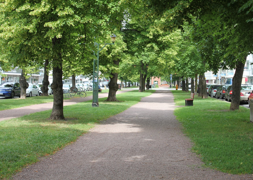 Kuvituskuva. Kuvassa keskellä Porin keskustan puiston hiekkatie, jota reunustaa molemmin puolin lehtipuut