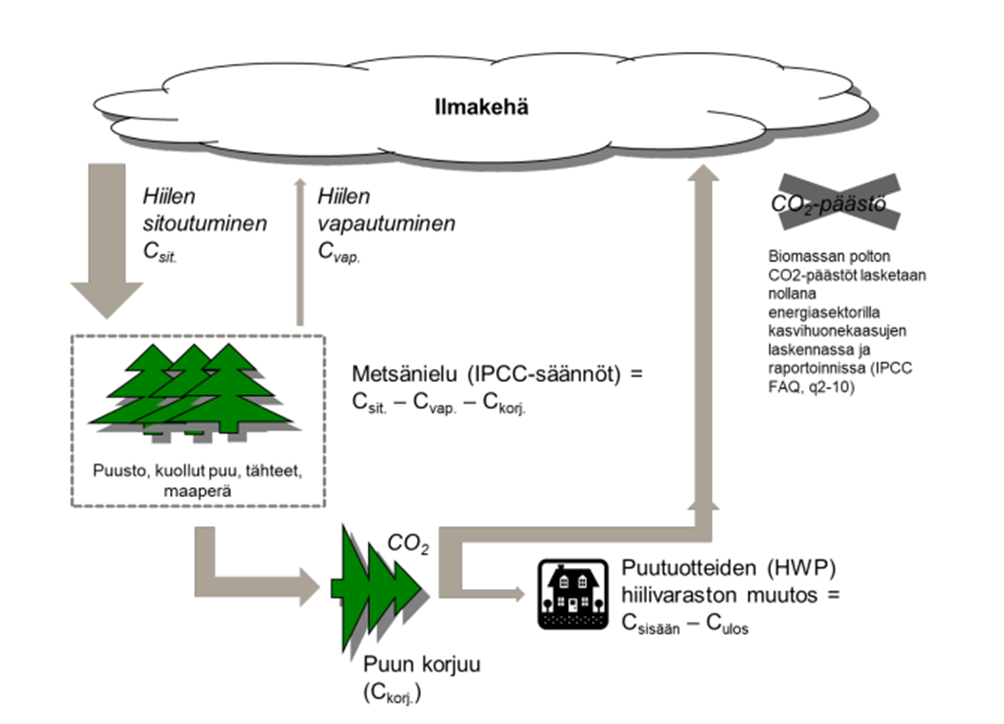 Piirros, jossa havainnollistettu hiilen sitoutuminen metsänieluun ja hiilen vapautuminen ilmakehään sekä puutuotteiden hiilivaraston muutos.